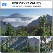 PHOTOBASH – Pinewood Valley