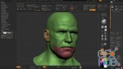 R3DS ZWrap v1.0.4 for ZBrush Win