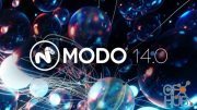 The Foundry MODO 14.2v2 Win