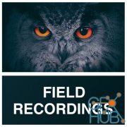 Whitenoise Records – Field Recordings