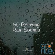 Pro Sound Effects Library – 50 Soothing Winter Rain Sounds