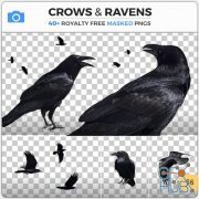 PHOTOBASH – Crows And Ravens