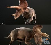 Triceratops PBR