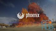 Chaos Phoenix v5.00.00 for Maya 2019-2023 Win x64