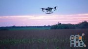 MotionArray – An Agricultural Drone Above The Crops 1033432