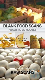 Blanc Realistic – Scanned Food