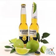 Bottle with Corona Extra beer