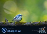 Topaz Sharpen AI 3.0.3 Win x64