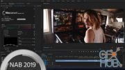 FilmConvert Nitrate 3.0 for After Effects & Premiere Pro Win