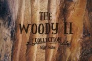 Creativemarket – The Woody Collection II