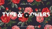 Skillshare – Source and Mix Botanical Illustrations with Typography to Create Trendy Designs