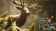 Unreal Engine – Animalia - Red Deer (male)