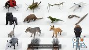 CGTrader – 30 Forest Animals Super Pack 3D Model Collection