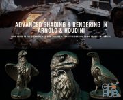 Rebelway – Advanced Shading Arnold & Houdini