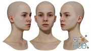 3D Scan Store – Female 3D model / Retopologised Head Scan 014