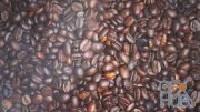 MotionArray – Coffee Beans Close-Up With Steam 912154