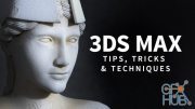 Lynda – 3DS MAX: Tips, Tricks and Techniques (Updated Nov 2020)