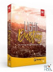 BusyBoxx – V14 Light Dusting