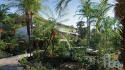 Globe Plants – Bundle 15 – Palm World (3D Models)
