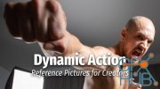 Reference Pictures - Dynamic Action