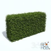 Simple hedge