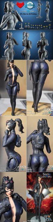 Catwoman– DC Comics – 3D Print
