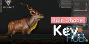 Blender Addon | Hair Shape Key v5.3 | Vfx Grace