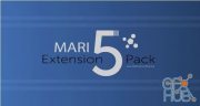 Mari Extension Pack 5 R2 Patch 3