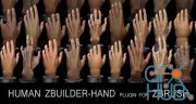 Human Zbuilder - Hand (Win/Mac)