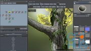 Creating High-Resolution Custom Trees Using SpeedTree