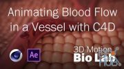 Skillshare – Animating Blood Flow in a Vessel with C4D