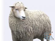 Unity Asset – Sheep v1.0
