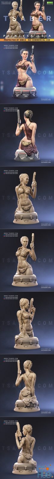 Princess Leia Bust – 3D Print