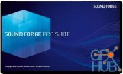 MAGIX SOUND FORGE Pro Suite 15.0.0.159 Lite Win