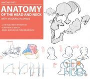 Gumroad –ANATOMY 1: HEAD AND NECK with moderndayjames