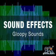 Cinema Spice Gloopy Sounds (WAV)