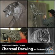 CreatureArtTeacher – Charcoal Drawing with Aaron Blaise
