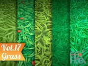 CGTrader – Stylized Grass Vol 17 – Hand Painted Texture Pack Texture