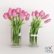 Two vases with pink tulips