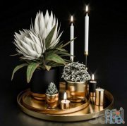 Decorative set with potted plants