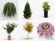 CGTrader – Plants Set 3D-Models Collection