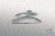 Pixologic ZBrush 2021.6.3 Multilingual Win x64