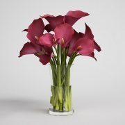Bouquet of flowers calla