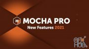 Boris FX Mocha Pro 2021 v8.0.2 Build 95 (Standalone/Adobe/OFX) Win x64