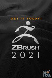 Pixologic ZBrush 2021.6.4 Win x64