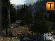 Unity Asset – Mountain Tree Pack