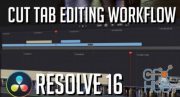 Skillshare – Guide to DaVinci Resolve 16 Video Editing