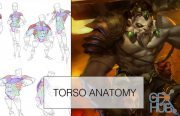Gumroad – Torso Anatomy Lesson Painting By Ahmed Aldoori
