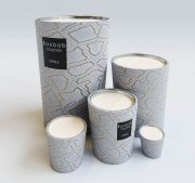 Python candle by Baobab