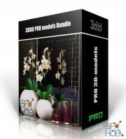 3DDD/3DSky PRO models – January 1 2021